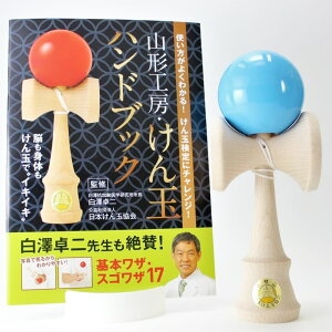 S҂̕ɂ R`H[   吰 F nhubN