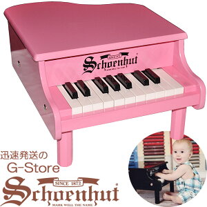 y|Cg10{zVF[nbg 18 ~jOhsAm sN 18-Key Pink Mini Grand Piano 189P Schoenhut