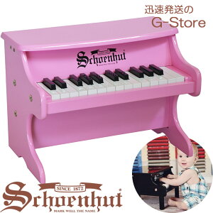y|Cg10{zVF[nbg 25 ~jsAm sN 25-Key Pink My First Piano II 2522P Schoenhut