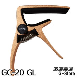 GID AR[XeBbNM^[pJ|^Xg GC-20 GL S[h Wbh