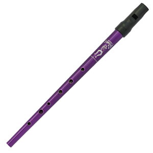 CLARKE eBzCbX SWEETONE in Protective Pouch Purple D SPUDP