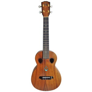 Gstring ei[EN T4 Double Hole n[hP[Xt