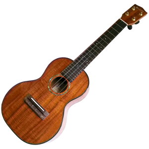 y}\Ԃ̓|Cg5{z{胂f Pono RT[gEN PCK-2