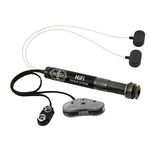 L.R.Baggs HiFi