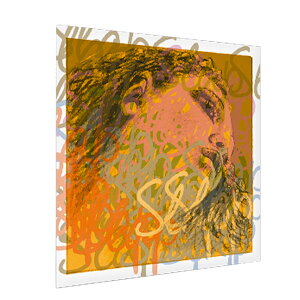 �y�|�C���gUP�zPIRASTRO �G���@�s���b�c�B �X���b�v �R���g���o�X�� G�� 3/4 GUT D-BASS EVAH PIRAZZI SLAP 1451 G