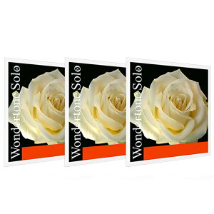 PIRASTRO �����_�[�g�[���\�� �o�C�I������ A(3122) D(4103) G(4104) �Z�b�g 4/4 VIOLIN WONDERTONE SOLO ADG SET