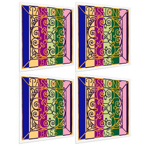 �y�|�C���gUP�zPIRASTRO �p�b�V���� �R���g���o�X�� G/A1 D/E2 A/B3 E/F#(FIS4) 3/4 D-BASS PASSIONE 3190 SET