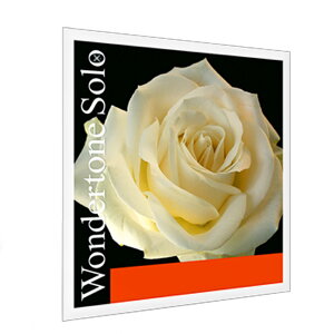 PIRASTRO �����_�[�g�[���\�� �o�C�I������ A�� 4/4 SYNTHETIC/ALUMINUM VIOLIN WONDERTONE SOLO 4102 A