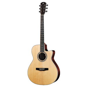 y}\Ԃ̓|Cg5{z[X AR[XeBbNM^[ Y R-14G NAT