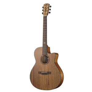 y10܂Ń|Cg8{z[X AR[XeBbNM^[ Y SC-16U œc\Iv Signature Model