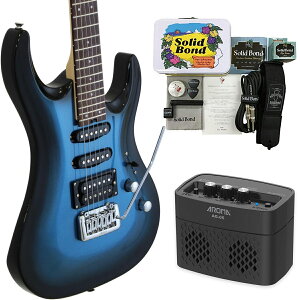 y}\Ԃ̓|Cg5{zyAv BKANZT[ZbgzAriaProII GLM^[ MAC-STD MBS