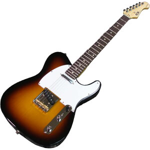 FUJIGEN eLX^Cv GLM^[ Basic Classic BCTE100RBD-3TS/01