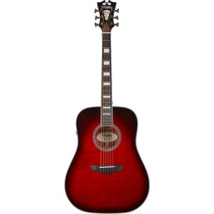 y}\Ԃ̓|Cg5{zD'Angelico M^[ Premier Lexington Trans Black Cherry Burst