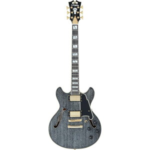 D'Angelico M^[ Excel Mini DC Black Dog
