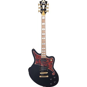 D'Angelico M^[ Deluxe Bedford Black