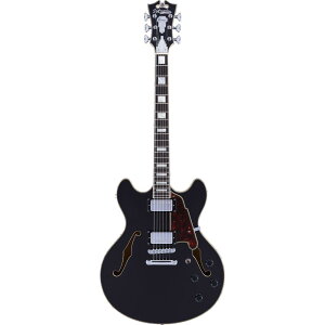 D'Angelico M^[ Premier DC Black Flake