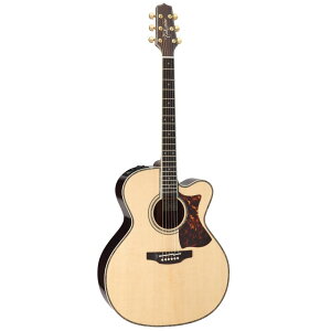 【マラソン期間はポイント5倍】Takamine タカミネ エレクトリックアコースティックギター 000 Series DMP000 N