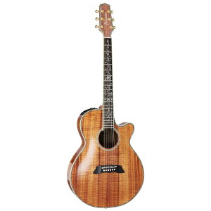 y25܂Ń|Cg5{zTakamine ^J~l GNgbNAR[XeBbNM^[ 100 Series DMP100K N