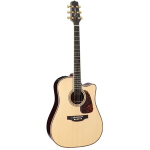 Takamine ^J~l GNgbNAR[XeBbNM^[ 200 Series DMP200 N