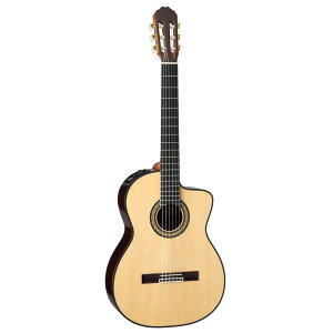 Takamine タカミネ エレクトリックアコースティックギター 300 Series DMP370NC N