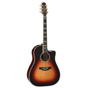 Takamine ^J~l GNgbNAR[XeBbNM^[ 800 Series DMP800 DAS