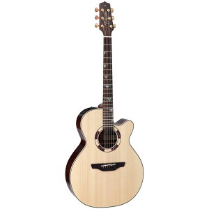 Takamine ^J~l GNgbNAR[XeBbNM^[ [hEX^_[h Series DSF48C