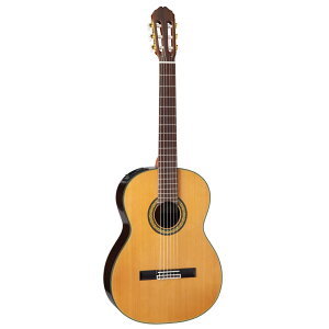 Takamine ^J~l GNgbNAR[XeBbNM^[ 300 Series PTU340N N