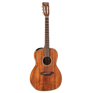 【マラソン期間はポイント5倍】Takamine タカミネ エレクトリックアコースティックギター 400 Series PTU431K N