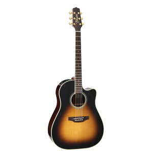 Takamine ^J~l GNgbNAR[XeBbNM^[ 800 Series PTU841C TBS