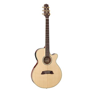 Takamine ^J~l GNgbNAR[XeBbNM^[ 100 Thinline Series TSP138C N