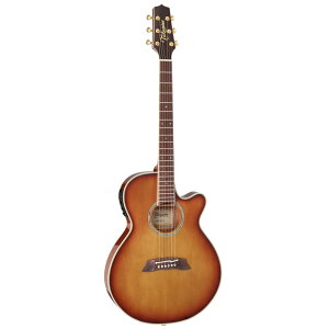 y25܂Ń|Cg5{zTakamine ^J~l GNgbNAR[XeBbNM^[ 100 Thinline Series TSP138C TB