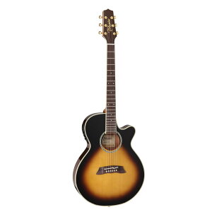 Takamine ^J~l GNgbNAR[XeBbNM^[ 100 Thinline Series TSP138C TBS