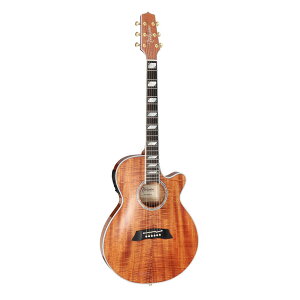 Takamine ^J~l GNgbNAR[XeBbNM^[ 100 Thinline Series TSP178ACK N