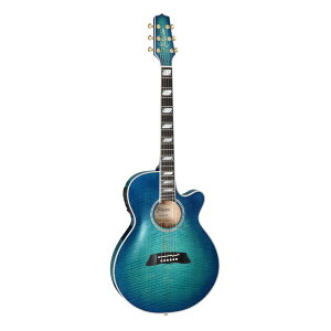Takamine ^J~l GNgbNAR[XeBbNM^[ 100 Thinline Series TSP178AC SBB
