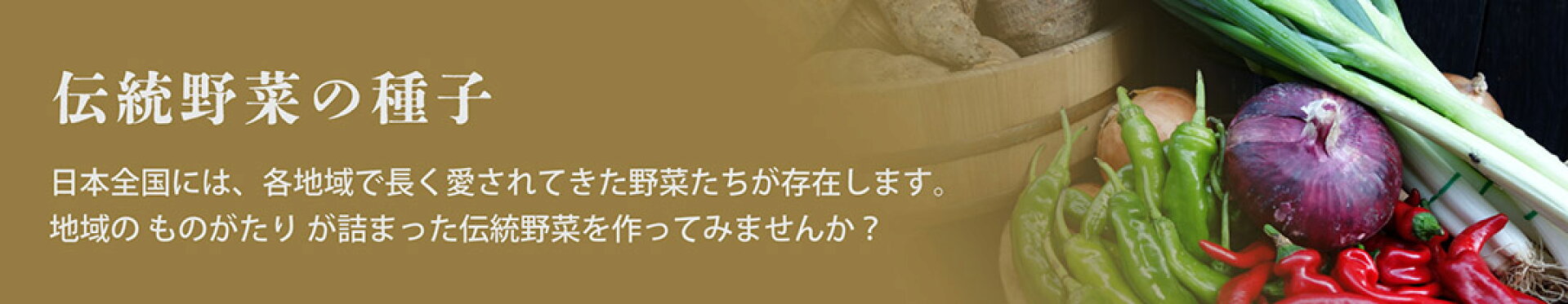 伝統野菜の種子