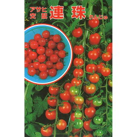 【トマトの種】 アサヒ交配 連珠 小袋 (0.3ml) 交配種 種子 タネ 野菜 果菜類 園芸 家庭菜園 畑 種まき