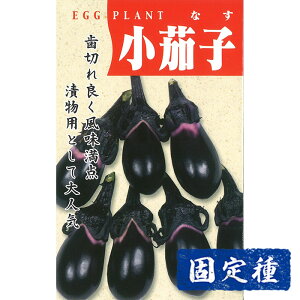 �y�i�X�̎�z ���֎q (���א琬�֎q) ���� (2ml) �Œ�� ��q �^�l ��� �ʍؗ� ���| �ƒ�؉� �� �v�����^�[�͔| ��܂�