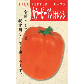 【パプリカの種】 一代交配 カラーピーマン (オレンジ) 小袋 (10粒) 交配種 種子 タネ 野菜 果菜類 園芸 家庭菜園 畑 種まき