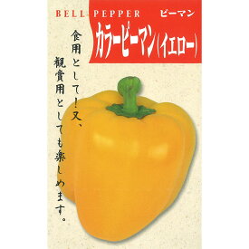 【パプリカの種】 一代交配 カラーピーマン (イエロー) 小袋 (10粒) 交配種 種子 タネ 野菜 果菜類 園芸 家庭菜園 畑 種まき