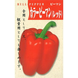【パプリカの種】 一代交配 カラーピーマン (レッド) 小袋 (10粒) 交配種 種子 タネ 野菜 果菜類 園芸 家庭菜園 畑 種まき