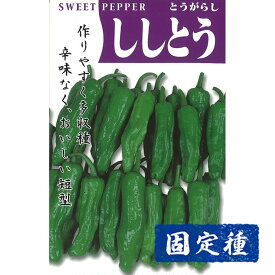 【シシトウの種】 早生ししとう 小袋 (2ml) 固定種 種子 タネ 野菜 果菜類 園芸 家庭菜園 畑 プランター栽培 種まき