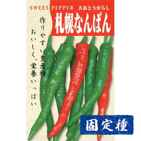 【トウガラシの種】 札幌大長唐辛子 小袋 (2ml) 固定種 種子 タネ 野菜 果菜類 園芸 家庭菜園 畑 プランター栽培 種まき