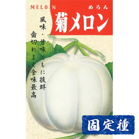【メロンの種】 菊メロン 小袋 (2ml) 固定種 種子 タネ 野菜 果菜類 園芸 家庭菜園 畑 種まき