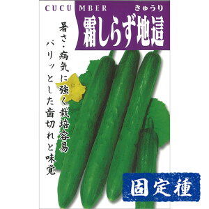 yLE̎z 炸nӉZ  (2.5ml) Œ q ^l  ʍؗ | ƒ؉  ܂