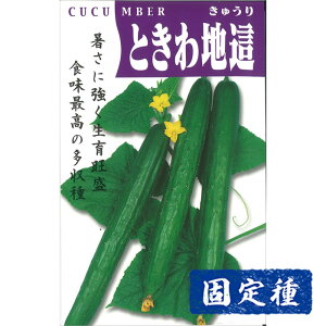 yLE̎z ƂnӉZ  (2.5ml) Œ q ^l  ʍؗ | ƒ؉  ܂