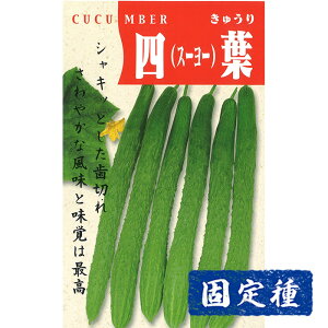 yLE̎z ltӉZ  (2ml) Œ q ^l  ʍؗ | ƒ؉  v^[͔| ܂