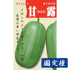 【まくわ瓜の種】 甘露 (かんろ) 小袋 (2ml) 固定種 種子 タネ 野菜 果菜類 園芸 家庭菜園 畑 種まき