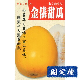 【まくわ瓜の種】 金俵まくわ瓜 小袋 (2ml) 固定種 種子 タネ 野菜 果菜類 園芸 家庭菜園 畑 種まき