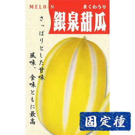 【まくわ瓜の種】 銀泉まくわ瓜 小袋 (2ml) 固定種 種子 タネ 野菜 果菜類 園芸 家庭菜園 畑 種まき