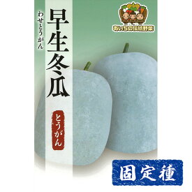 【トウガンの種】 あいちの伝統野菜 早生冬瓜 小袋 (10ml) 固定種 種子 タネ 野菜 果菜類 園芸 家庭菜園 畑 種まき 漬物